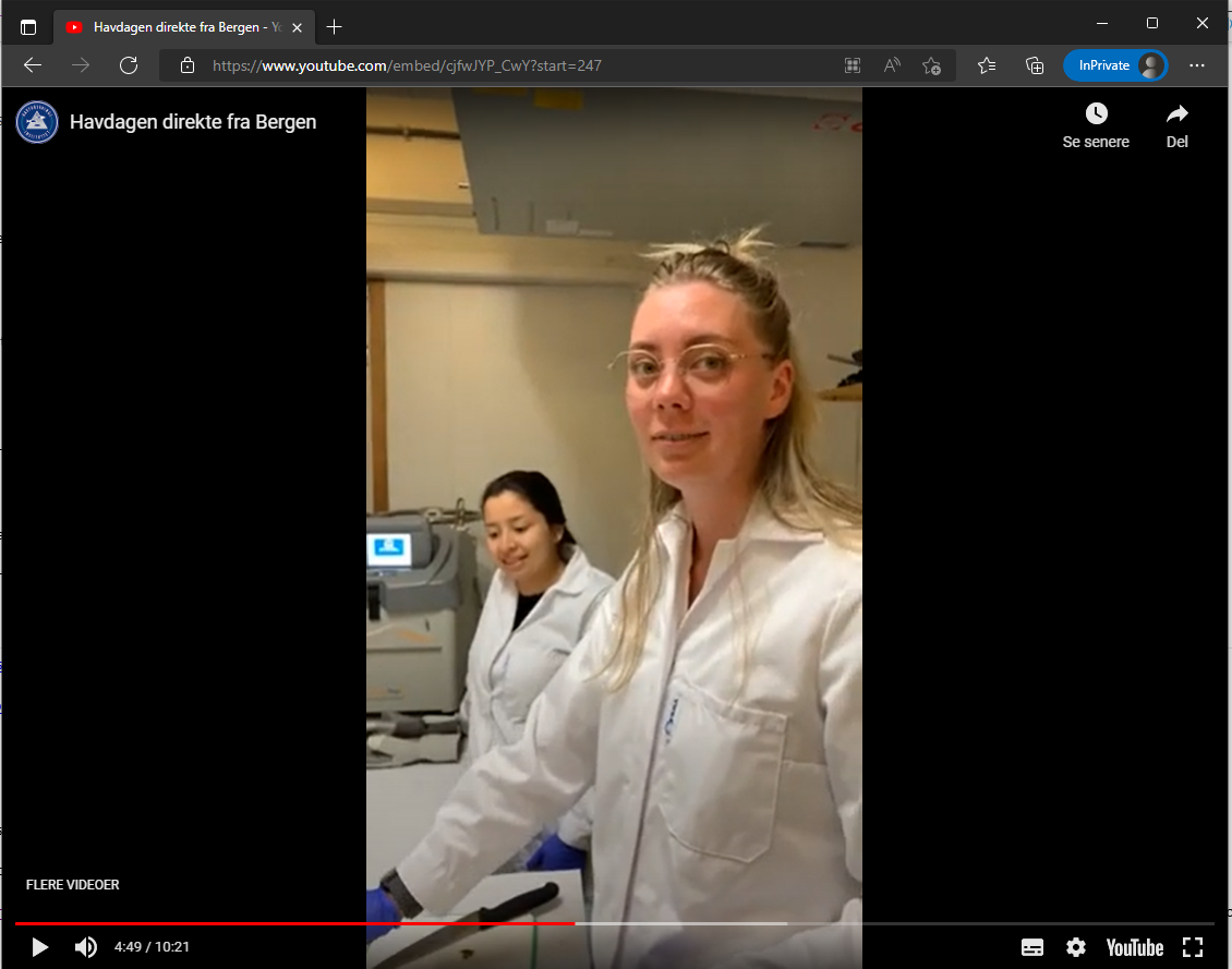 Watch Cecilie from DTU Food explaining her latest seaweed experiment!